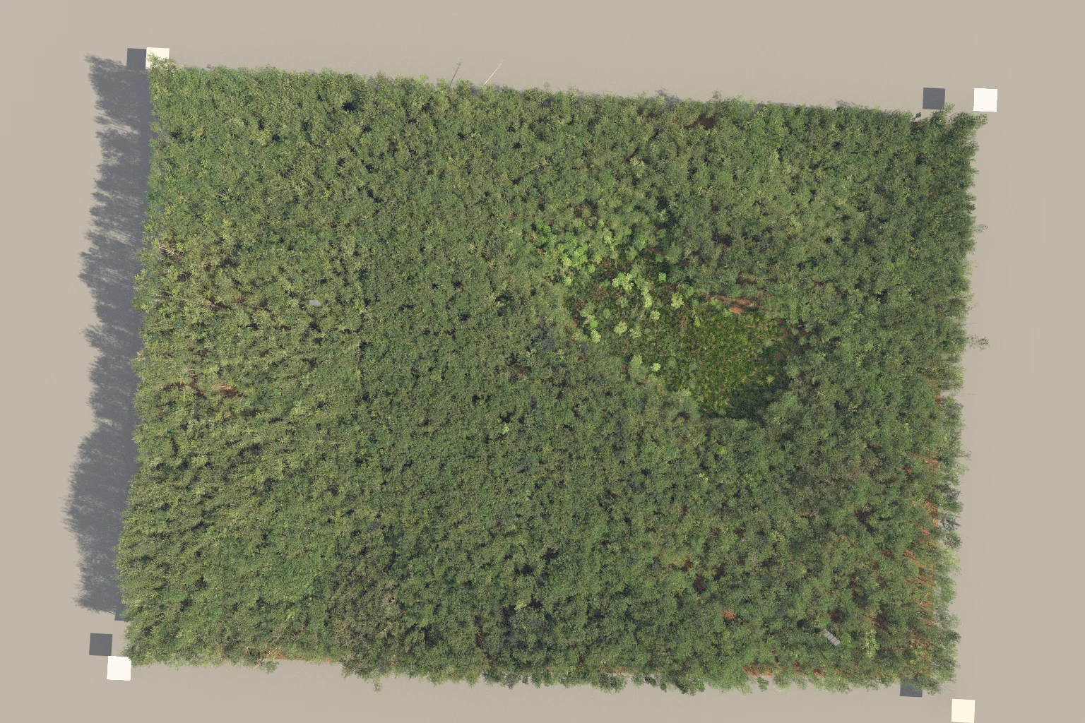 Aerial view of the simulated Harvard Forest landscape